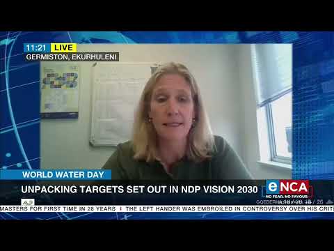 Unpacking targets set out in NDP vision 2030