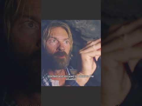 Movie clip #Movie commentary # Classic clips # for you