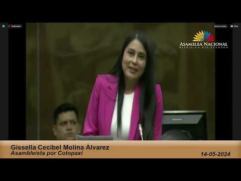 Asambleísta Gissella Molina  - Sesión 925 - #ReformasLOFL