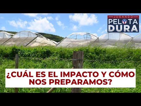 LA AGRICULTURA ANTE EL CAMBIO CLIMA?TICO