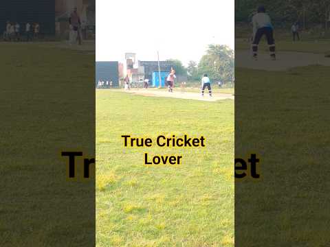 Only True Cricket Lovers Will Relate! 🏏🔥 | #Shorts #Cricket #trending #viral #youtubeshorts #fyp
