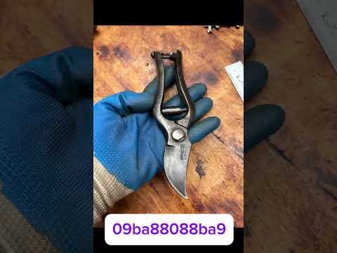 Giao lưu chia sẽ cùng ae đam mê nghệ thuật tools bonsai #bonsai #bonsaitools #bonsaiart