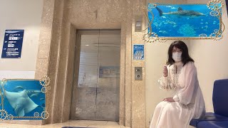 沖縄美ら海水族館のエレベーター＆エスカレーター