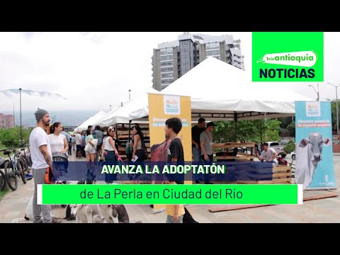 Avanza la Adoptatón de La Perla en Ciudad del Río - Teleantioquia Noticias