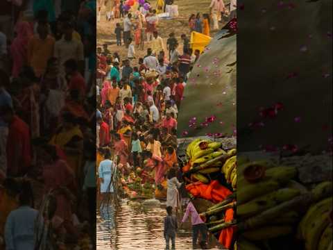 काँच ही बास के बहनगिया 🙏#chhatgeet #chhatspecial #shorts #shortvideo #youtubeshorts