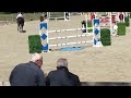 Show jumping horse Talentvolle merrie met top instelling (spring / eventing)