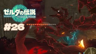 マジでこの敵怖すぎて嫌いすぎる【ゼルダの伝説TotK #26】