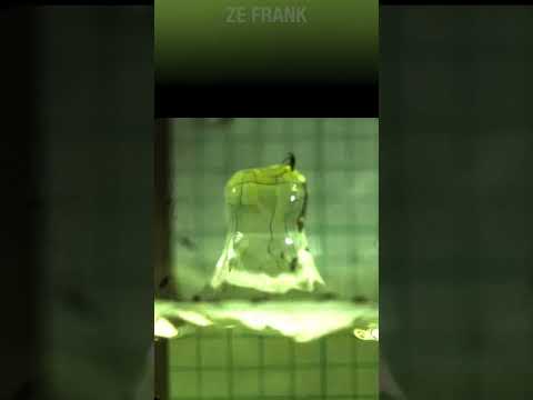 Ze Frank