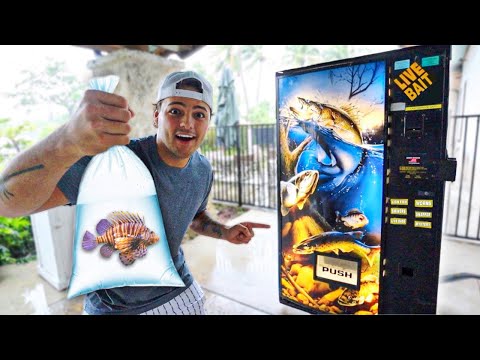 BUYING LIVE FISH out of VENDING MACHINE!! I drove through 20 inches of rain to get into this massive Bass Pro Shops, which also happens to hav