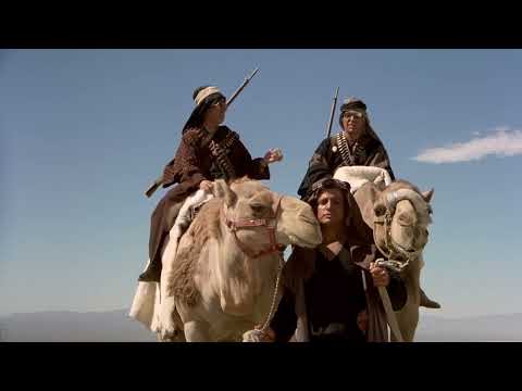 Camel | Перегони Гарматне ядро (мем.укр)