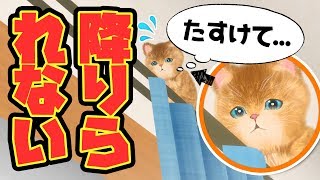 【子猫】気づいたらカーテンの上にいたので救出しました