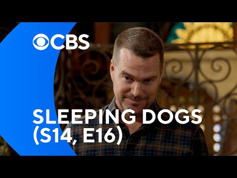 NCIS: Los Angeles - Was There Even Any Question?
