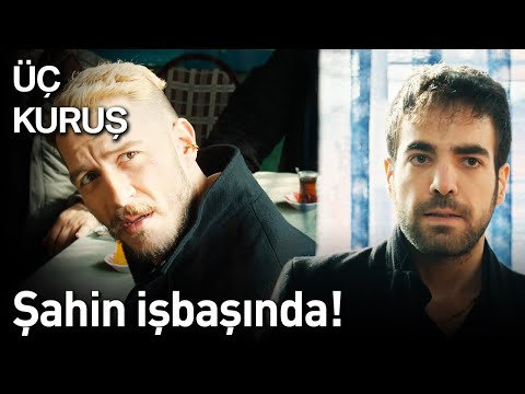 Üç Kuruş 12. Bölüm - Şahin İş Başında!