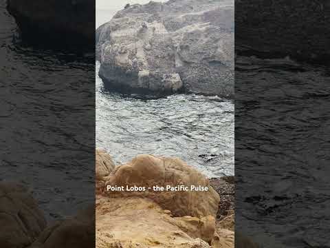 Nature’s Symphony at Point Lobos 🌊💎 #PointLobos #MontereyCoast #OceanVibes #shorts #HiddenGem