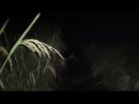 Watch in 2X speed at end point