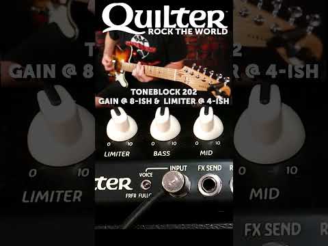 Quilter Labs |  Tone Bock 202 - Limiter  #SHORTS @DoctorMcFarlandStudios #toneblock #tb202