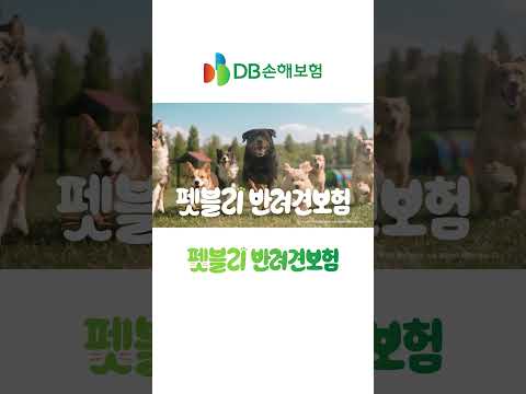 2026 DB손해보험 TVCF, 반려견의 행복한 <strong>하루</strong>