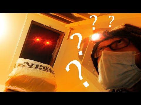 Exploring My Attic for the First Time Ever!!! - CORONAVLOG III