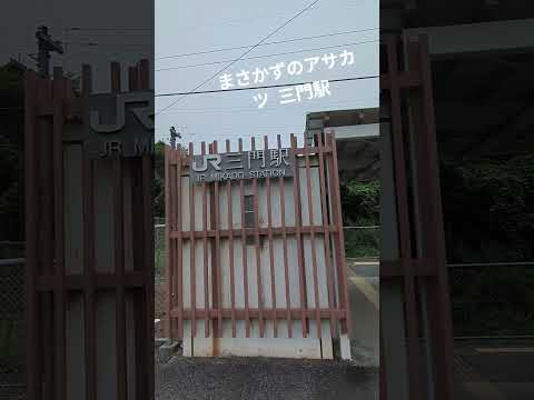 【情熱朝活🌞】三門駅 外房線 高校野球 曇り 参院選折り返し まさかずのアサカツ R7/7/11 外房情熱パワー 小路正和