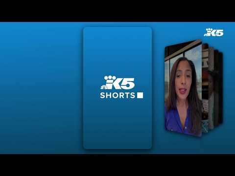 KING 5 Shorts