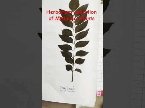 Herbarium collection of Medicinal Plants