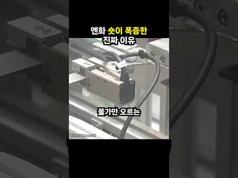 <strong>엔화</strong> 숏이 폭증한 진짜 이유 (이슈딸깍)