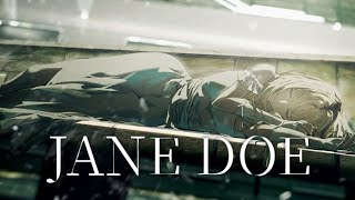 JANE DOE/虎金妃笑虎(cover)