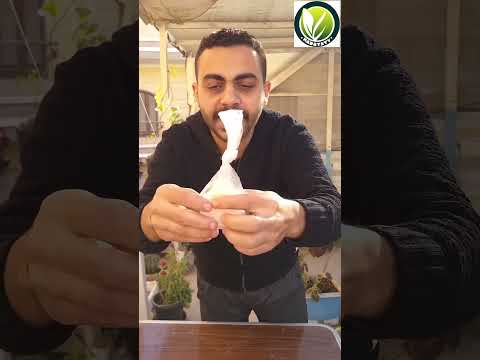 زراعة بذور البرتقال 🍊🌿 #زراعة_الأسطح #plants #اشجار #garden #زراعة