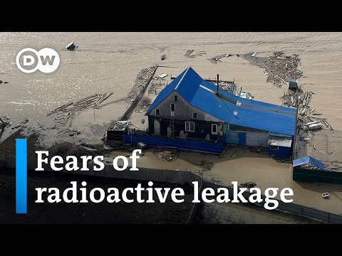 Russian authorities reject reports of radioactive leakage into Tobol river | DW News
