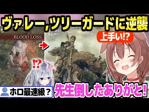 【エルデンリング】あらゆるNPCをぶん殴る狂犬ころね,各地で笑いを生みつつあっという間にヴァレーとツリーガードにリベンジ達成「かなた呼びたいな！」【ホロライブ  切り抜き/戌神ころね】※ネタバレあり