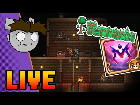 DAY 2, ELECTRIC BOOGALOO | Terraria Calamity: Infernum Mod