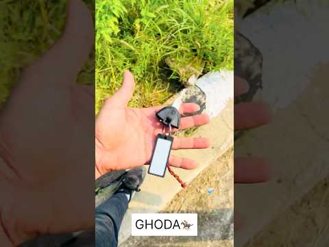 ❤️#shorts #shortsfeed #youtubeshorts #viral #trending #bmw #bike #love