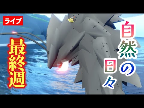 【自然の日々】最終週フェーズ３はあるのか？楽園の海はいったいどうなる？ほか【Sky星を紡ぐ子どもたち】