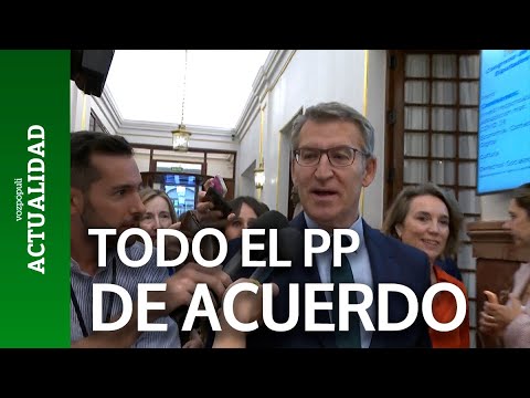 Fejóo afirma que ha hablado con Ayuso tras el acuerdo del CGPJ con PSOE