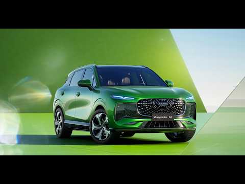 INSIGHT: Lepas South Africa