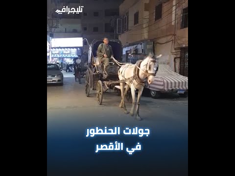 رواج سياحى كبير لجولات الحنطور لسياح العالم بشوارع الأقصر