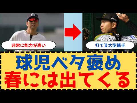 【球児も大注目】打てる捕手に熱視線!来季の戦力として大きな期待【阪神タイガース】