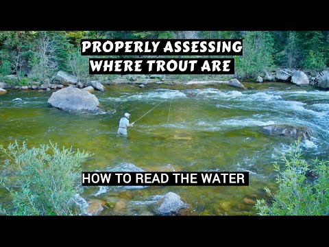 How to Assess Where Trout Are in a River