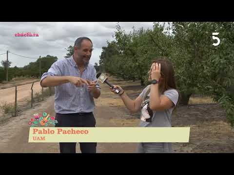 Pablo Pacheco, UAM | Basta de Cháchara | 02-02-2023