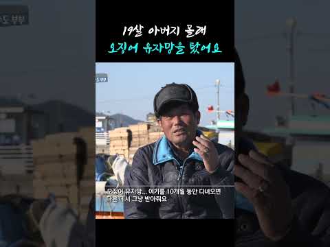 <strong>오징어</strong> 유자망을 타면 다른 데서 그냥 받아줘요 #shorts