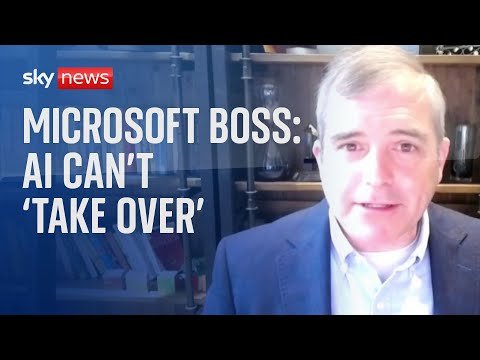 Microsoft boss: AI 'doesn't have capability to take over'