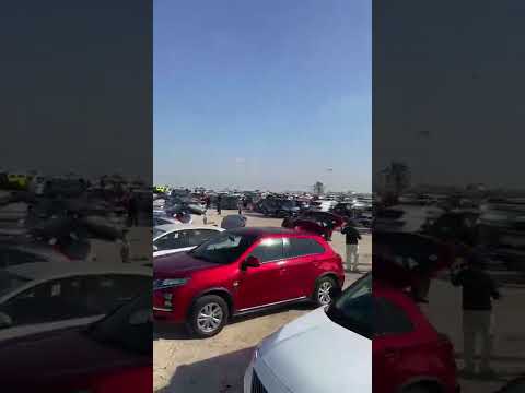 مهرجان الطائرات الورقية بمحمية الدوسري