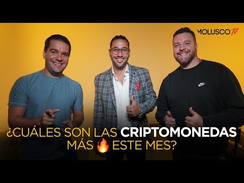 ¿ Cuales son las criptomonedas más ? este mes ? Aquí te decimos