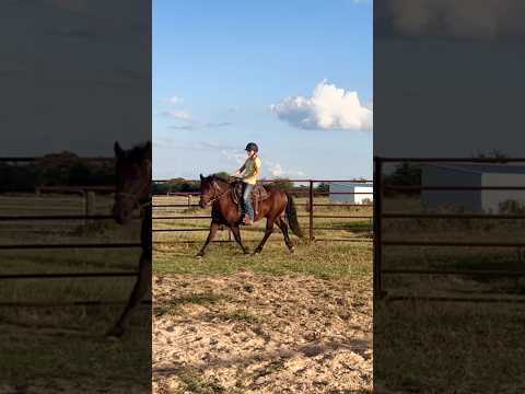Titan has been making so much progress with riding!! So proud of him.💕 #mustanghorse #horsetraining