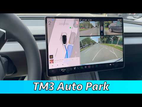Tesla Model 3 2026 Auto Park Review (Any good?)