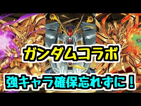 【ガンダムコラボまとめ】迷ってるなら取っちゃおう！ 交換＆購入で確保したいキャラが多すぎる！【パズドラ】