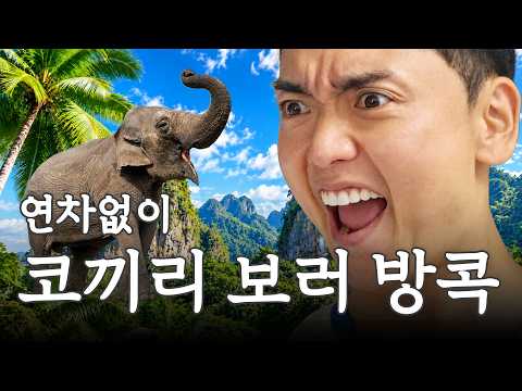 연차없이 코끼리 똥 맞는 태국 방콕 여행 2일차 I 곽범 I 연차없이 어떡행2 EP.8