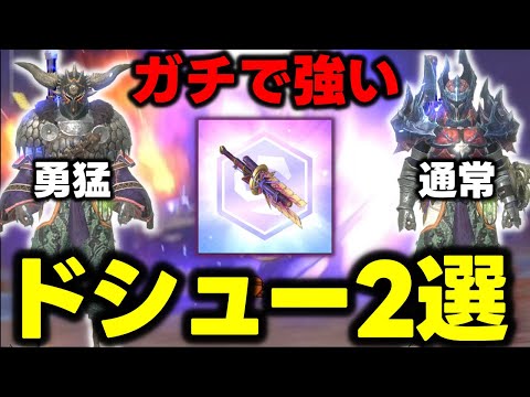 【★10変異も楽勝】質問が多すぎたので「僕の宇宙ドシュー装備2選」を解説【モンハンNow】