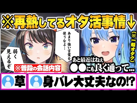 普段スバルとの会話がミーム汚染されている件や最近再熱しているオタ活トークが止まらないすいちゃん【星街すいせい 大空スバル ホロライブ 切り抜き Vtuber】