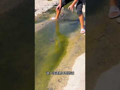 Na Meena pedikurathula award vagiirruka paru 😂